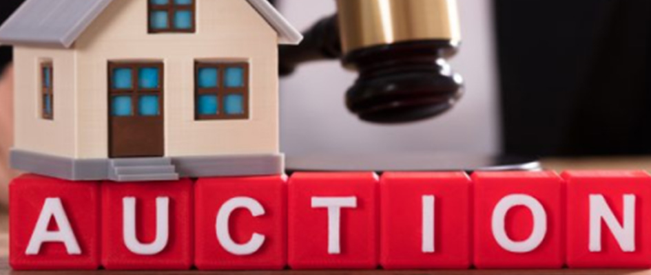 Image of Application for the auction share of Prabhu Insurance has opened, where can you apply?